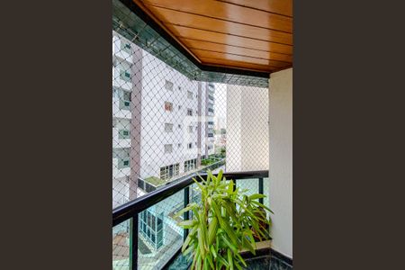 Varanda da Suíte 3 de apartamento para alugar com 3 quartos, 223m² em Tatuapé, São Paulo