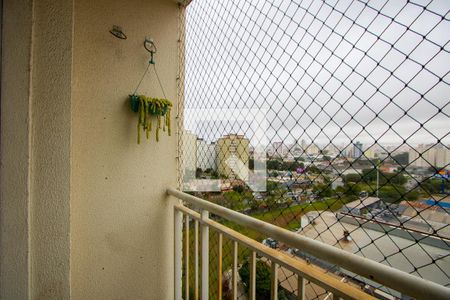 Varanda da sala de apartamento para alugar com 2 quartos, 50m² em Vila Homero Thon, Santo André
