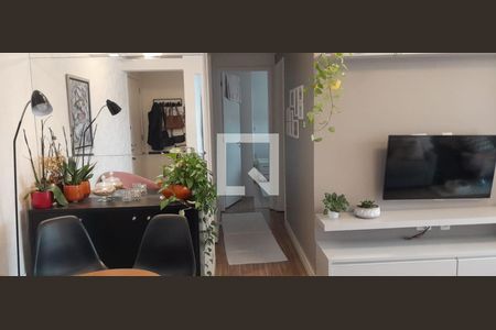 Sala de apartamento para alugar com 2 quartos, 65m² em Vila Sonia, São Paulo