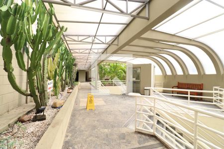 Área comum de apartamento para alugar com 3 quartos, 67m² em Barra Funda, São Paulo