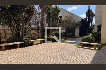 Área comum de apartamento à venda com 2 quartos, 48m² em Jardim Dom Vieira, Campinas