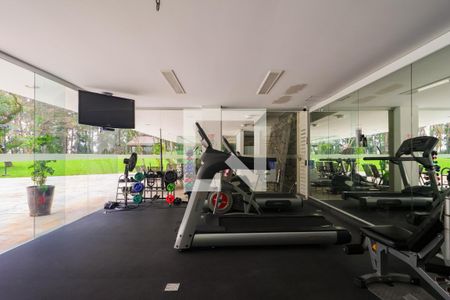 Área comum - Academia de apartamento para alugar com 3 quartos, 520m² em Vila Suzana, São Paulo