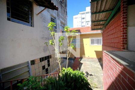 Quintal de casa à venda com 4 quartos, 320m² em Nova Floresta, Belo Horizonte
