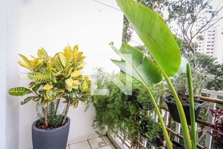 Varanda da Sala de apartamento para alugar com 1 quarto, 48m² em Vila Andrade, São Paulo