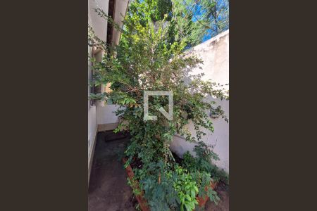 Quintal de casa para alugar com 2 quartos, 101m² em Fonseca, Niterói