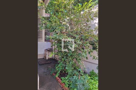 Quintal de casa para alugar com 2 quartos, 101m² em Fonseca, Niterói
