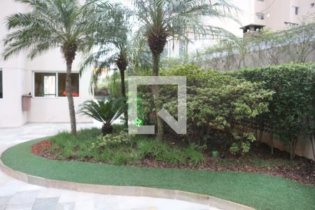 Área comum de apartamento à venda com 2 quartos, 86m² em Jardim Sao Caetano, São Caetano do Sul