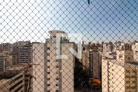 Vista da Sala de apartamento para alugar com 3 quartos, 98m² em Moema, São Paulo