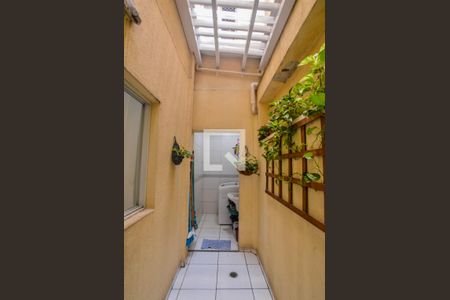 Área de Serviço de apartamento para alugar com 3 quartos, 84m² em Vila Alzira, Santo André