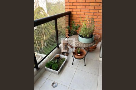 Apartamento à venda com 4 quartos, 143m² em Vila Andrade, São Paulo