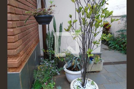 Casa à venda com 3 quartos, 263m² em Santo Amaro, São Paulo