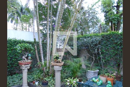 Casa à venda com 3 quartos, 263m² em Santo Amaro, São Paulo