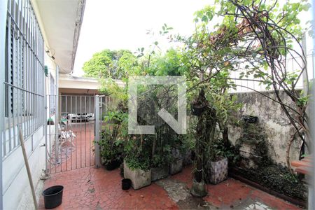 Casa à venda com 3 quartos, 120m² em Indianópolis, São Paulo