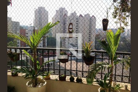 Apartamento à venda com 3 quartos, 95m² em Vila Sofia, São Paulo