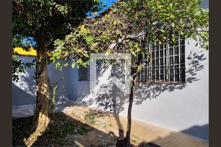Casa à venda com 2 quartos, 78m² em Vila Campo Grande, São Paulo