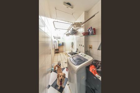Área de Serviço de casa de condomínio à venda com 3 quartos, 96m² em Vila Guarani (zona Sul), São Paulo