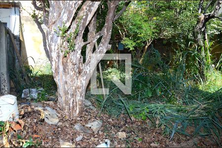Quintal de casa à venda com 3 quartos, 300m² em Carlos Prates, Belo Horizonte