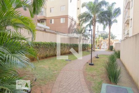 Área comum de apartamento para alugar com 2 quartos, 49m² em Vila Carrão, São Paulo