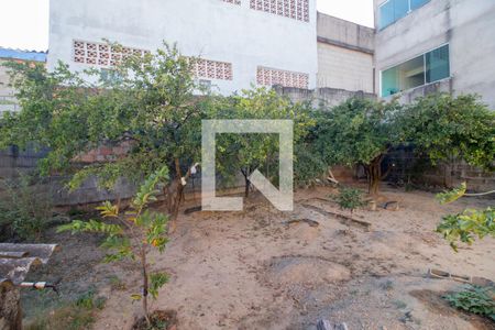 Quintal de casa para alugar com 3 quartos, 360m² em Tropical, Contagem