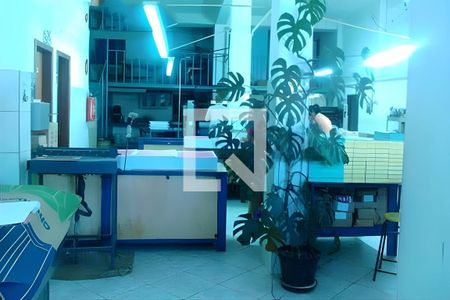 Casa à venda com 3 quartos, 800m² em Parque Riachuelo, Belo Horizonte