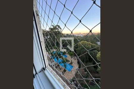 Apartamento à venda com 3 quartos, 95m² em Educandário, São Paulo