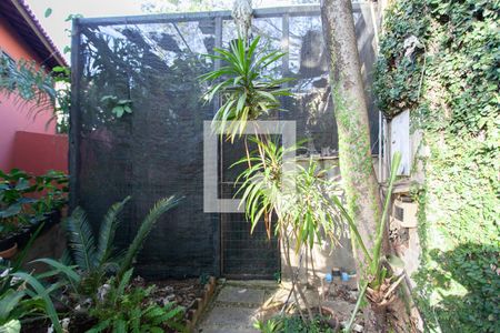 Orquidário de casa à venda com 4 quartos, 992m² em Estoril, Belo Horizonte