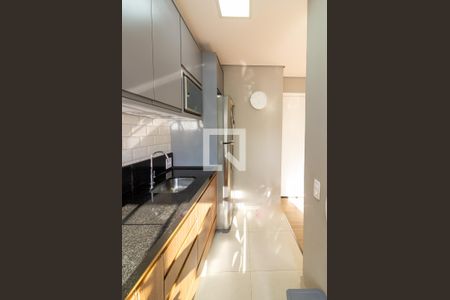 Área de Serviço de apartamento para alugar com 2 quartos, 44m² em Usina Piratininga, São Paulo
