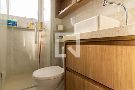 Banheiro Social de apartamento para alugar com 2 quartos, 44m² em Usina Piratininga, São Paulo