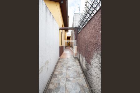 Edícula - Entrada de casa à venda com 4 quartos, 250m² em Padre Eustáquio, Belo Horizonte