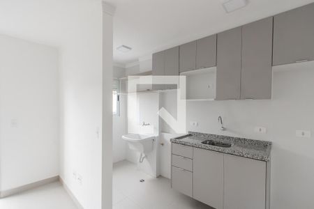 Cozinha de apartamento à venda com 2 quartos, 45m² em Vila Guilhermina, São Paulo