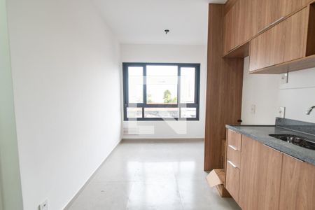 Sala/cozinha de apartamento para alugar com 1 quarto, 25m² em Ipiranga, São Paulo