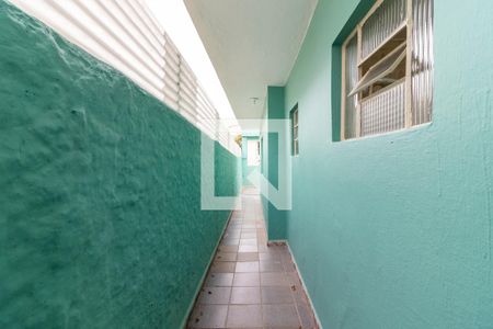 Quintal / Corredor Lateral de casa para alugar com 3 quartos, 110m² em Parque Peruche, São Paulo
