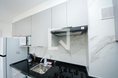Cozinha de apartamento para alugar com 2 quartos, 33m² em Vila Prudente, São Paulo