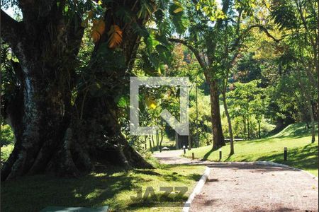 Casa de Condomínio à venda com 5 quartos, 522m² em Loteamento Alphaville Campinas, Campinas