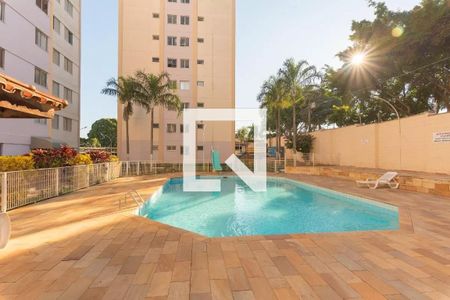 Área comum - Piscina de apartamento à venda com 2 quartos, 56m² em Jardim Santa Amalia, Campinas