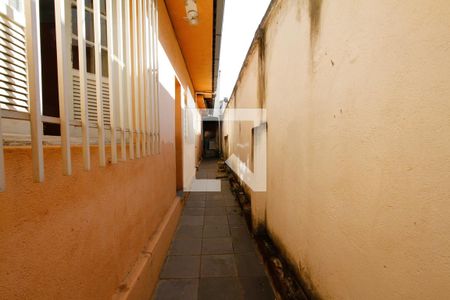 corredor de casa para alugar com 3 quartos, 120m² em Padre Eustáquio, Belo Horizonte