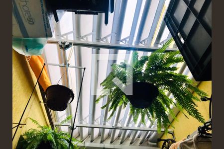 Apartamento à venda com 3 quartos, 80m² em Vila Camilópolis, Santo André