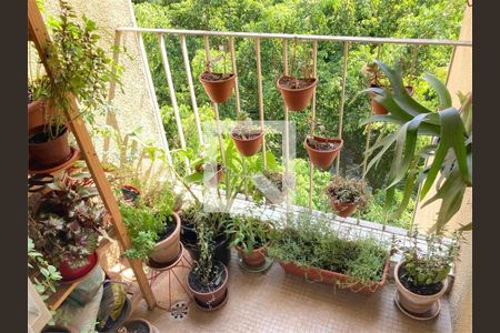 Apartamento à venda com 3 quartos, 73m² em Santa Cecilia, São Paulo