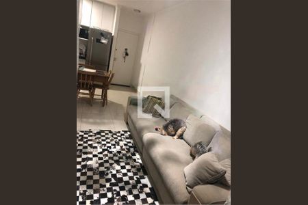 Apartamento à venda com 2 quartos, 52m² em Vila Bela, São Paulo