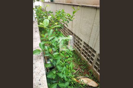 Apartamento à venda com 4 quartos, 172m² em Mooca, São Paulo