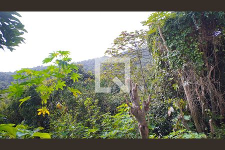 Vista Sala/Quarto de kitnet/studio para alugar com 1 quarto, 30m² em Barra da Lagoa, Florianópolis