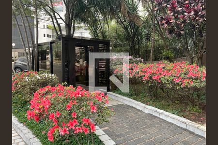 Apartamento à venda com 2 quartos, 62m² em Vila Ipojuca, São Paulo