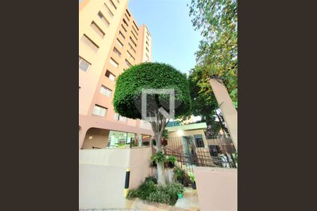 Apartamento à venda com 2 quartos, 65m² em Vila Moinho Velho, São Paulo