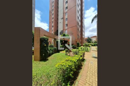 Apartamento à venda com 3 quartos, 65m² em Cambuci, São Paulo