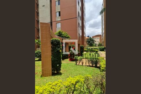 Apartamento à venda com 3 quartos, 65m² em Cambuci, São Paulo