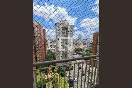 Apartamento à venda com 3 quartos, 65m² em Cambuci, São Paulo