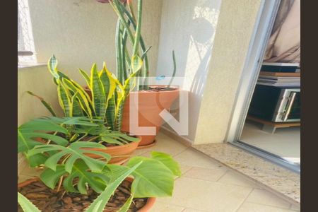 Apartamento à venda com 2 quartos, 64m² em Santa Terezinha, São Bernardo do Campo