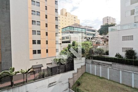 Vista de apartamento para alugar com 1 quarto, 29m² em Casa Verde, São Paulo