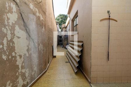Quintal de casa à venda com 3 quartos, 230m² em Tatuapé, São Paulo