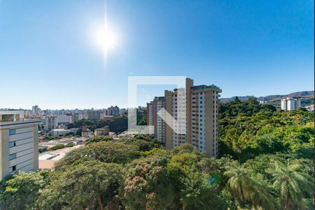 Sala de apartamento à venda com 2 quartos, 95m² em Luxemburgo, Belo Horizonte